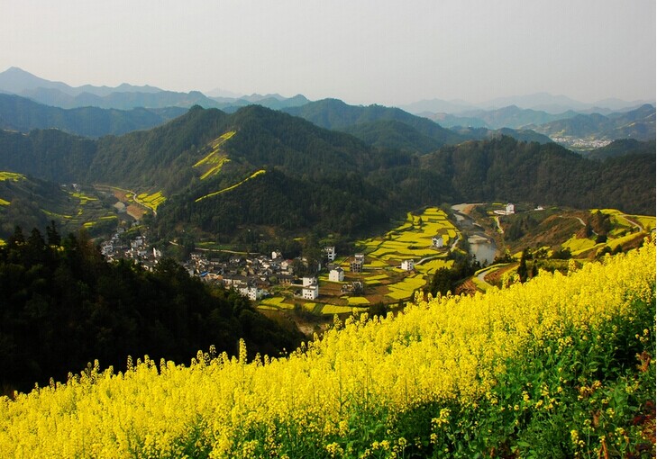 成都網站優化